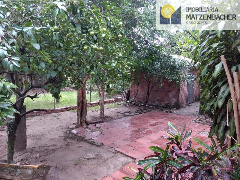 Pátio com árvores frutíferas